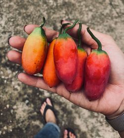High angle view of hand holding strawberries