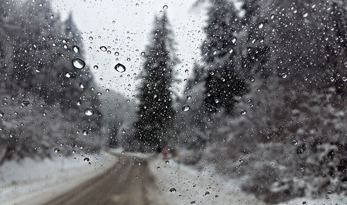 Rain drops on road