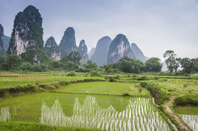 Scenic view of field with mountain in background