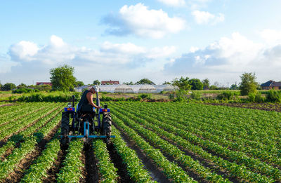 The farmer drives a tractor and plows the field. agroindustry and agribusiness. cultivation 