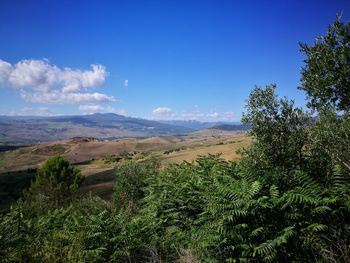 Scenic view of landscape against blue sky