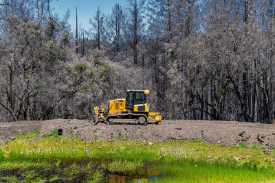 Side view working bulldozer clears area before construction. forest background