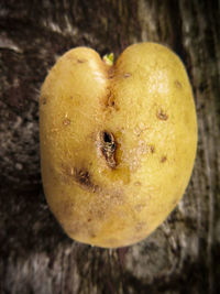 High angle view of apple on wood