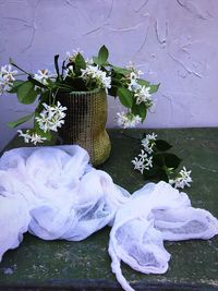 Close-up of white flowers