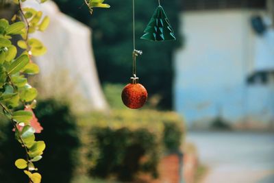 Close-up of christmas decorations hanging on plant