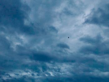 Low angle view of birds flying in sky