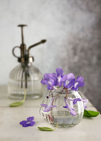 Close-up of vase on table