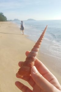 Cropped image of hand holding seashell at beach