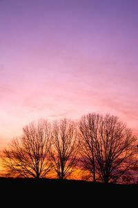 Low angle view of bare trees against sky at sunset