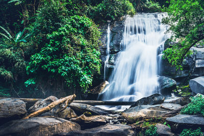 Scenic view of waterfall in forest