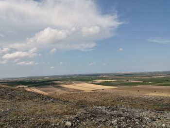 Scenic view of agricultural field against sky