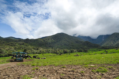 Landscape with mountain in background