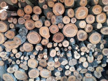 Full frame shot of logs in forest