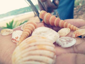 Close-up of person hand