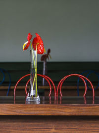 Close-up of red flower on table