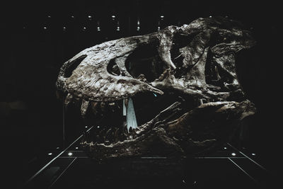 Close-up of lit up at night