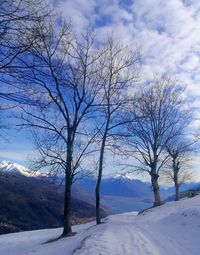 Bare trees on snow covered landscape against sky