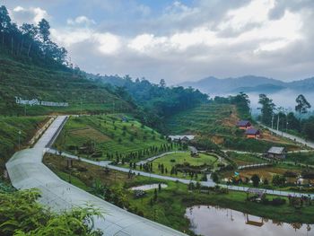 High angle view of plants and landscape against sky