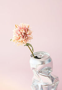 Delicate wilted flower in crushed soda can used as vase.
