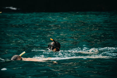 Duck swimming in a lake