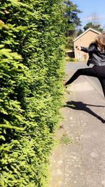 View of building with trees in foreground