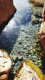 High angle view of pebbles in water