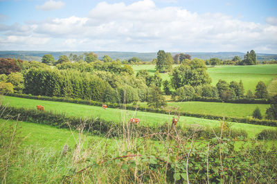 Scenic view of field against cloudy sky