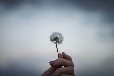 Close-up of hand holding dandelion against sky