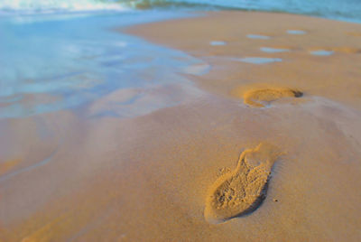 Scenic view of beach