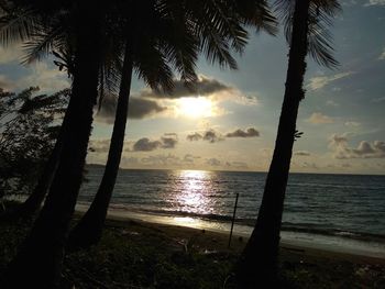 Silhouette palm trees on beach against sky during sunset