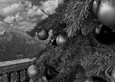 Close-up of christmas decoration hanging on tree