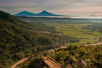 Scenic view of landscape against sky