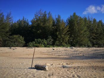 Scenic view of beach against blue sky