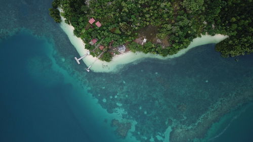 High angle view of sea shore