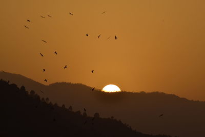 Silhouette birds flying over mountains against orange sky