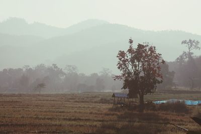 Landscape with mountains in foggy weather