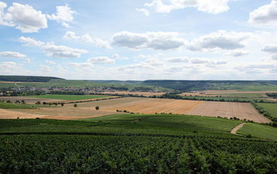 Scenic view of agricultural field against sky