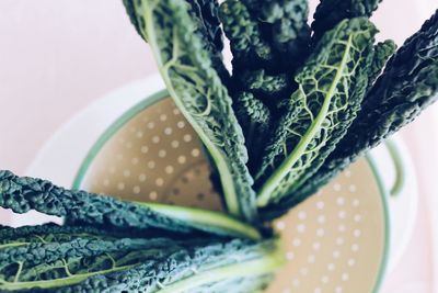 High angle view of green vegetable leaves in old enameled strainer 