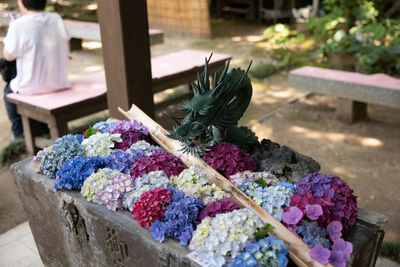 Hydrangeas displayed in the handbasin at the shrine.