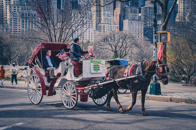 Rear view of man riding horse on street