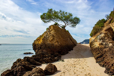 Rocks on beach against sky