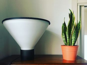 Close-up of potted plant on table at home