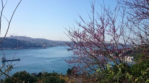 Scenic view of calm sea against clear sky