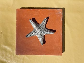High angle view of starfish on red tile against yellow background