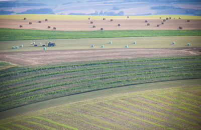 Scenic view of agricultural field