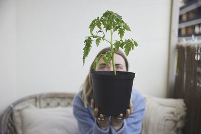 Woman holding tomato seedling