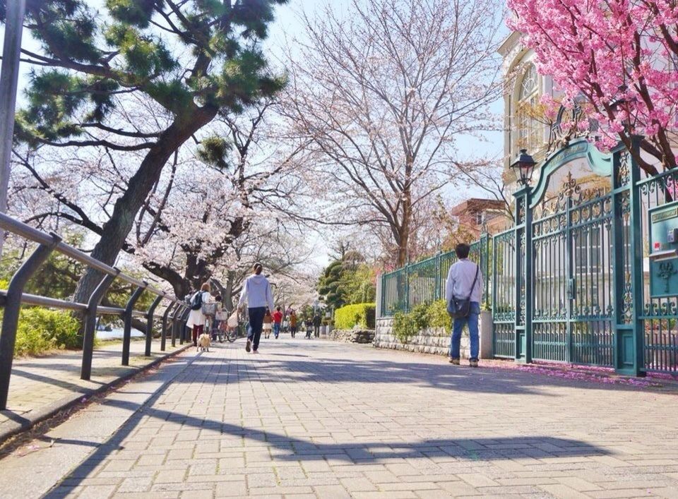 tree, building exterior, architecture, built structure, walking, city, the way forward, street, men, rear view, full length, sidewalk, lifestyles, person, city life, footpath, incidental people, transportation