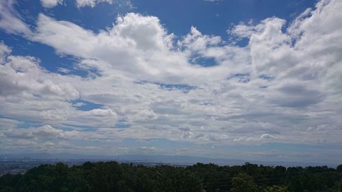 Low angle view of trees against sky