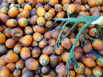 Full frame shot of areca fruits 