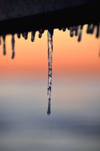 Close-up of icicles against sky during sunset